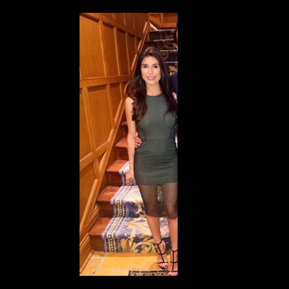 Donna Mizani Mesh Green Dress